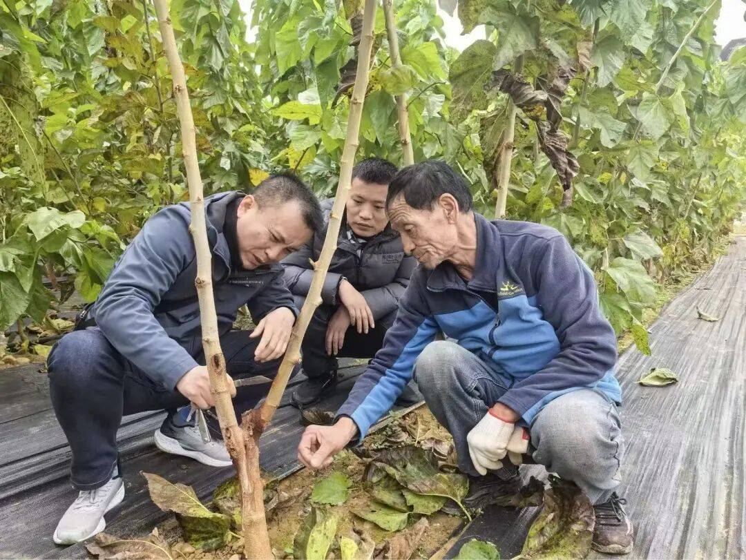 省媒体报道了南充“三农”这些工作MG不朽情缘媒体看南充 近期国(图17)