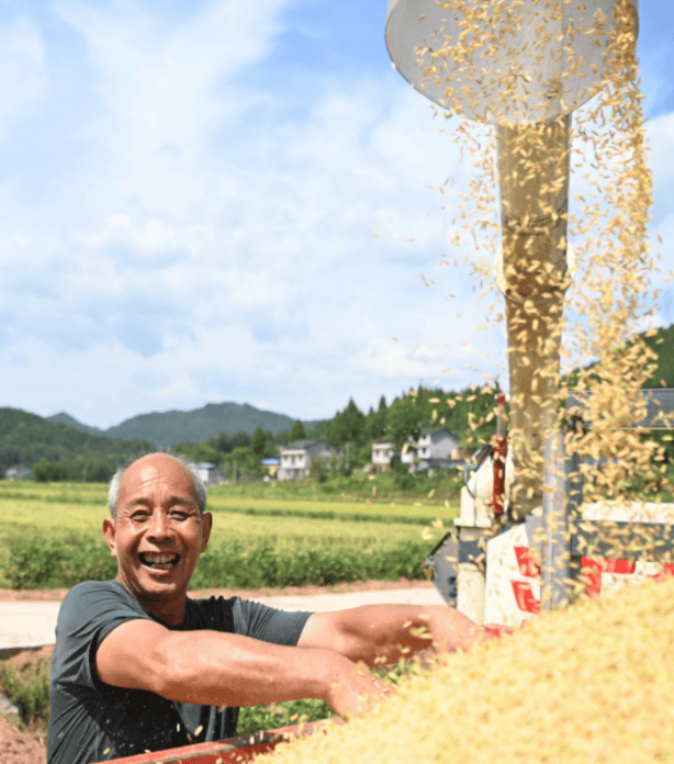 省媒体报道了南充“三农”这些工作MG不朽情缘媒体看南充 近期国(图18)