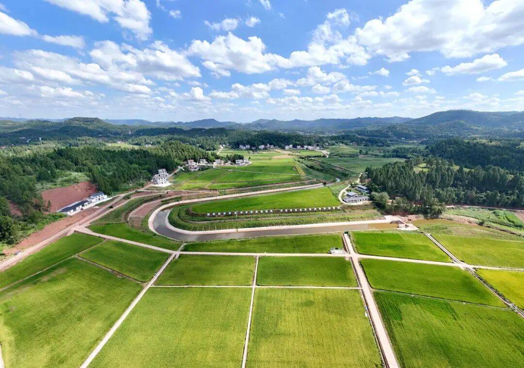 省媒体报道了南充“三农”这些工作MG不朽情缘媒体看南充 近期国(图19)