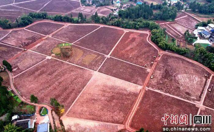 省媒体报道了南充“三农”这些工作MG不朽情缘媒体看南充 近期国(图24)