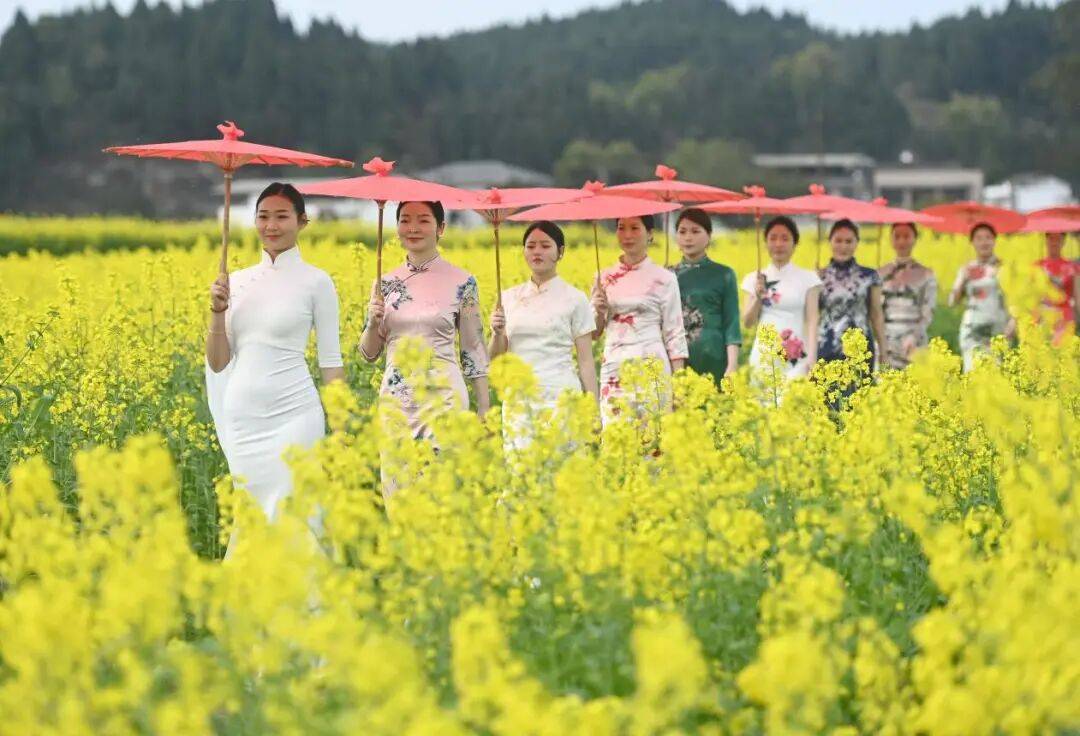 省媒体报道了南充“三农”这些工作MG不朽情缘媒体看南充 近期国(图35)